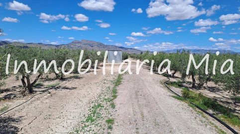 Photo 3 of Houses for sale in Puerto Lumbreras, Murcia