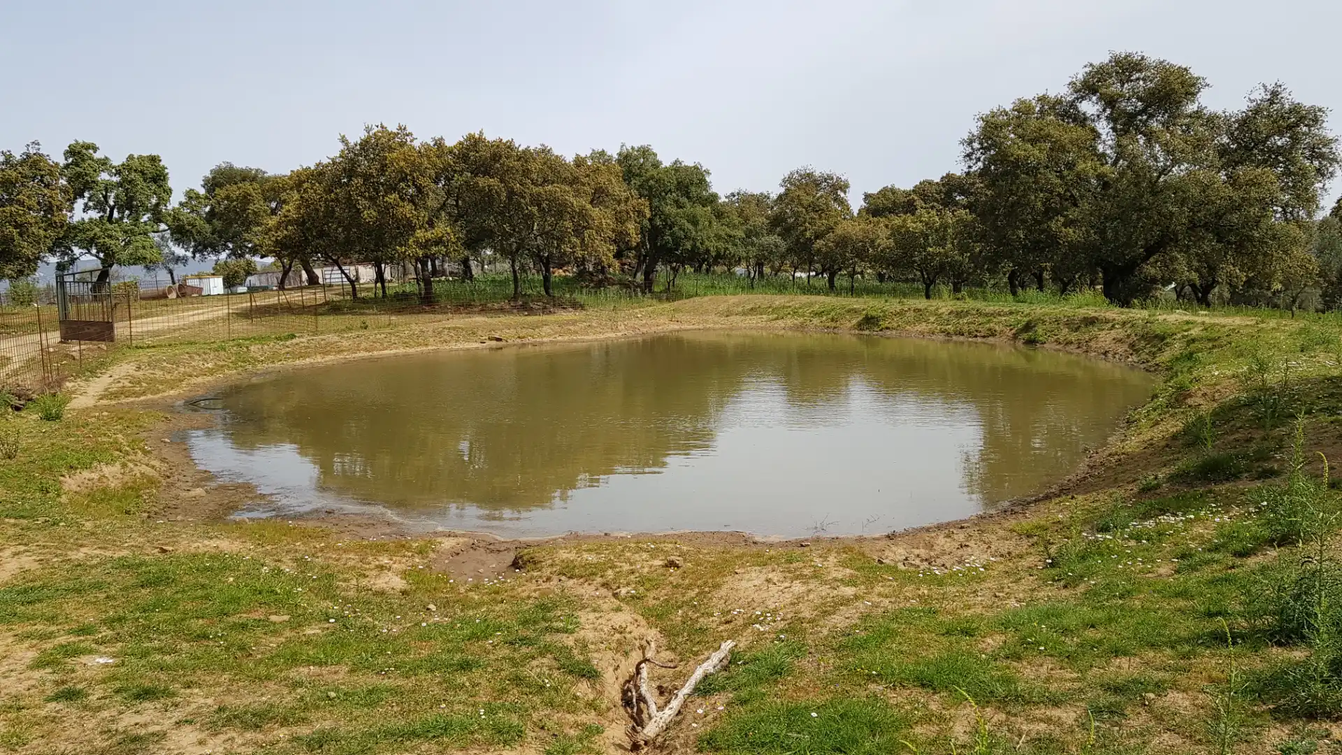 Terrenos y solares en venta en Extramuros Diseminados 5, imagen 72