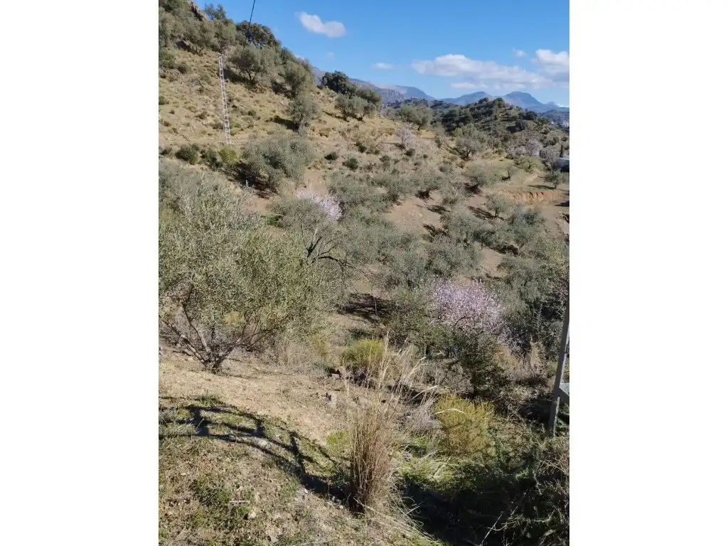Casa o chalet en venta en Riogordo