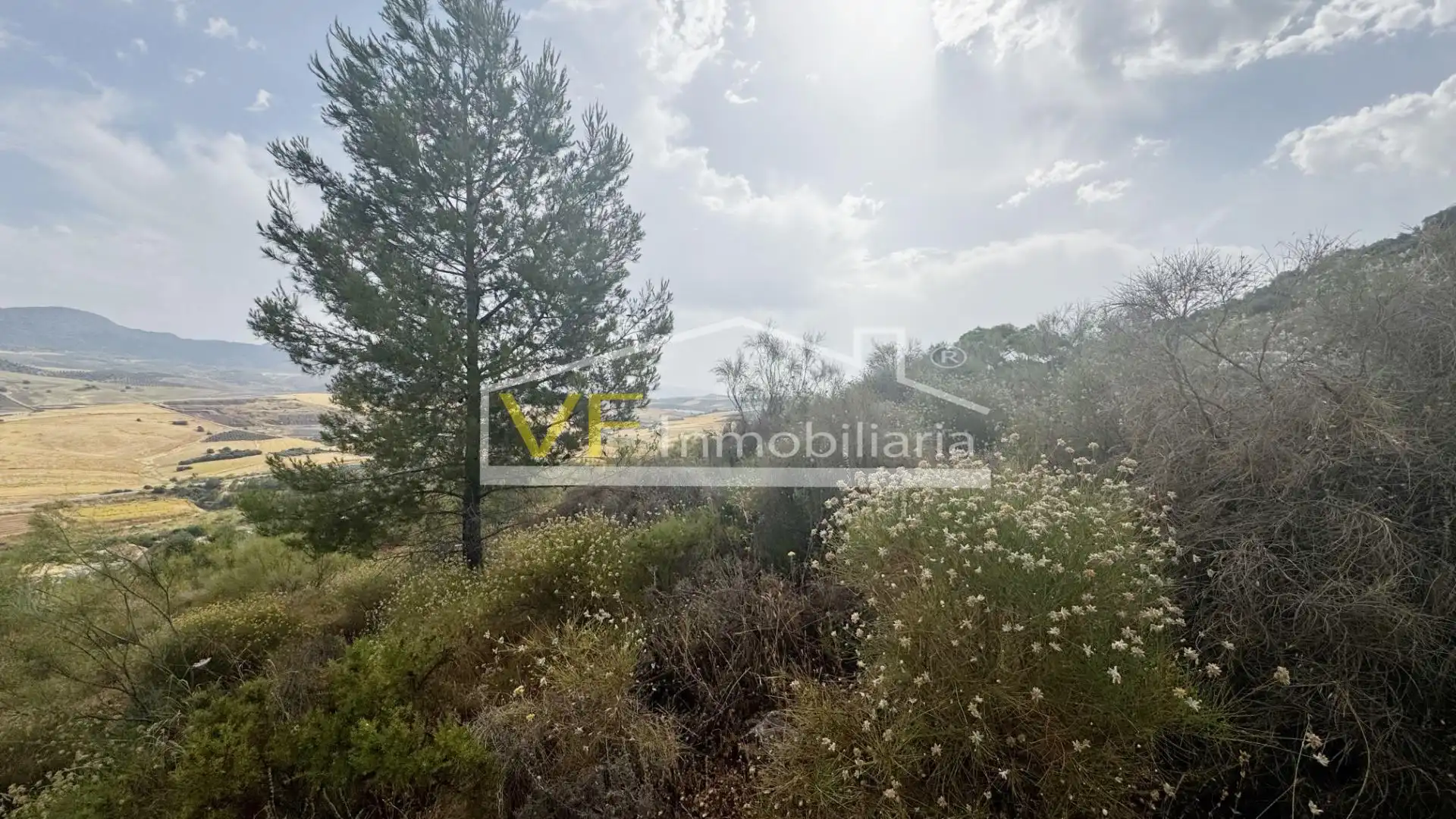 Terreno residencial en venta en PP.7-SIERRA DEL PARAISO, imagen 15