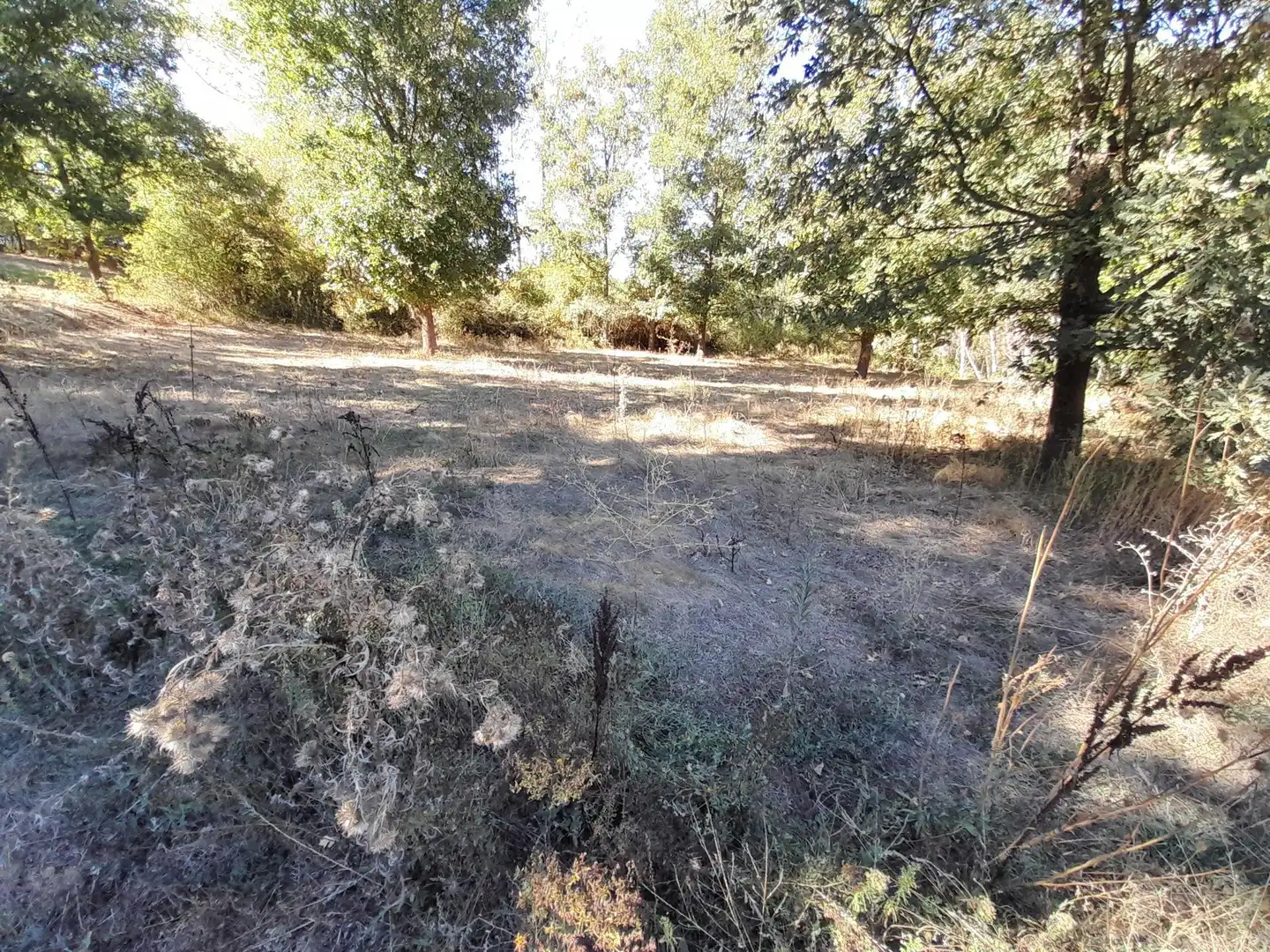Country homes for sale in Castropodame, León