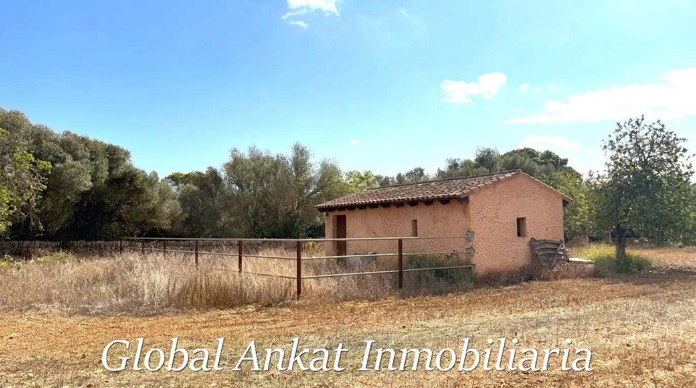 Terreno residencial en venta en Zona Rústica - Interior, imagen 3