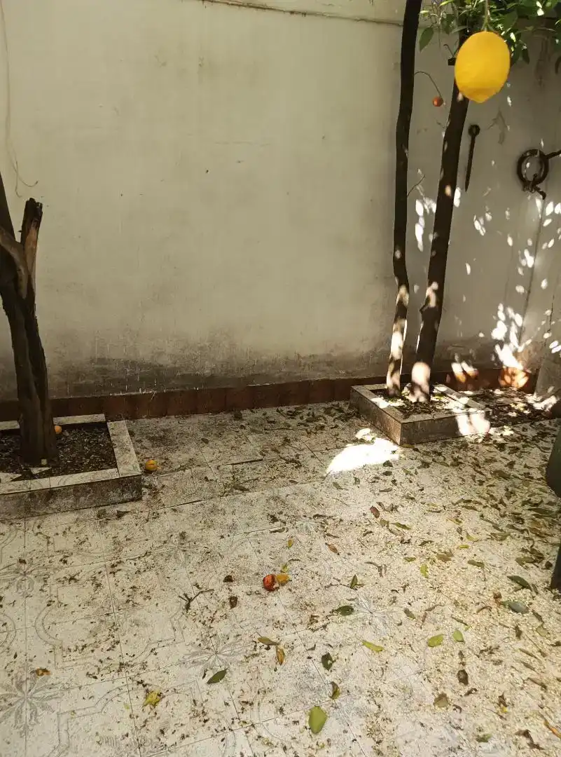 Jardí de Pis en venda en Lucena amb Balcó