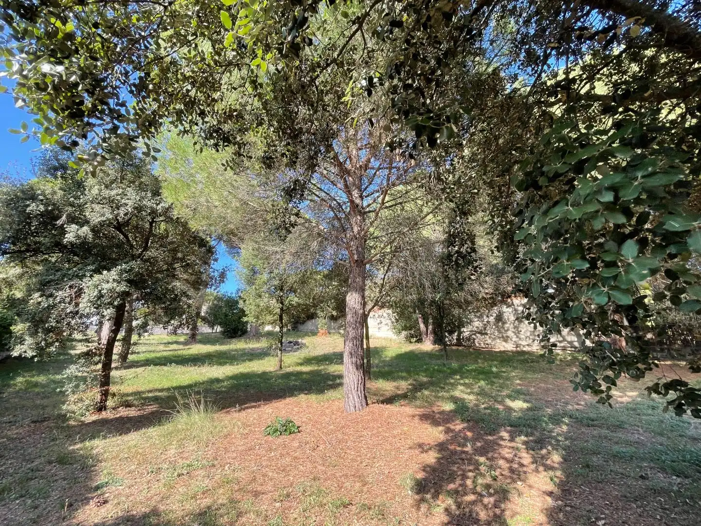 Terreny residencial en venda a Carrer Alzina 22, imagen 6