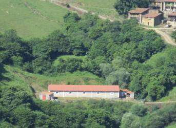 Nave industrial en Venta en Proaza