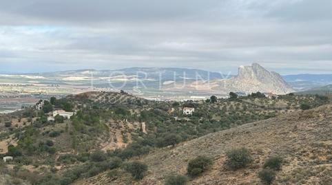 Foto 3 de Finca rústica en venda a N/a, 8e, Cueva de Menga, Málaga