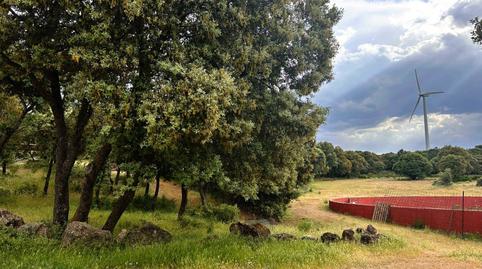 Photo 3 of Country house for sale in Masegosso, Masegoso, Albacete