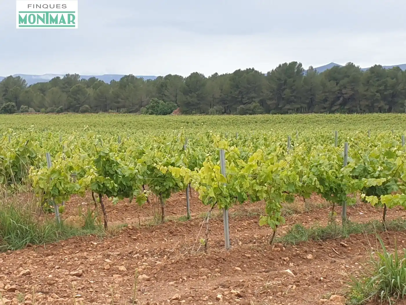 Finca rústica en venda en El Pla de Santa Maria