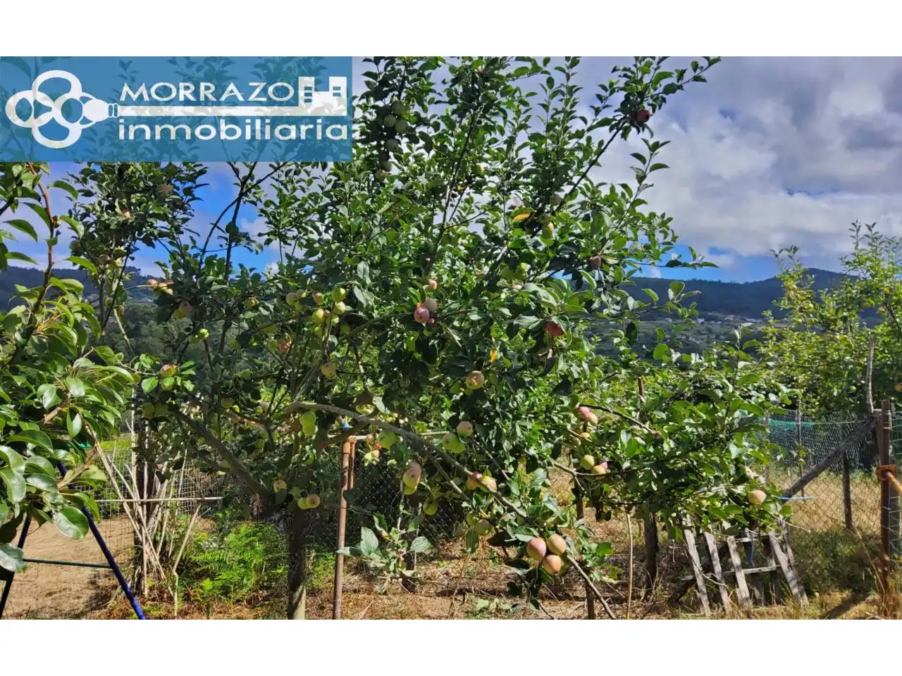 Houses for sale in Marín  with Heating, Private garden and Terrace