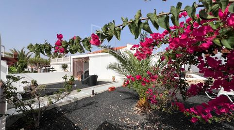 Foto 2 de Casa o xalet en venda a Parque Holandes, Parque Holandés, La Oliva