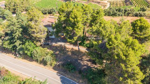 FINCA VITIVINÍCOLA ECOLÓGICA EN FALSET, image 3