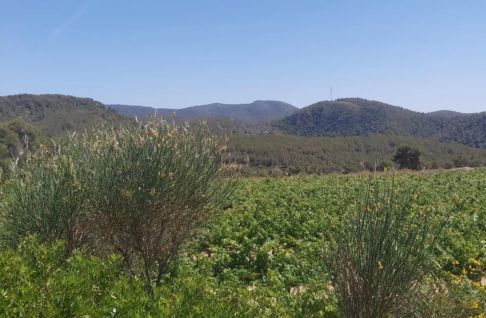 Casa o xalet en venda en Avinyonet del Penedès amb Jardí privat, Terrassa i Traster