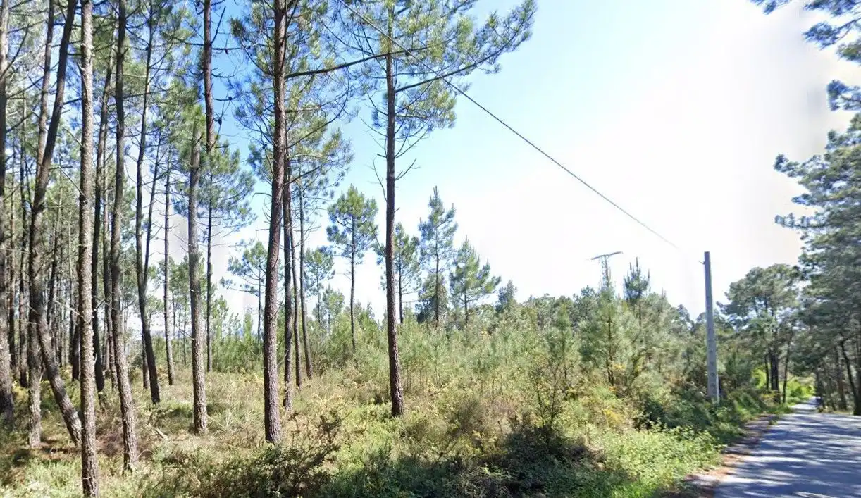 Terreno en venta en O Grove  