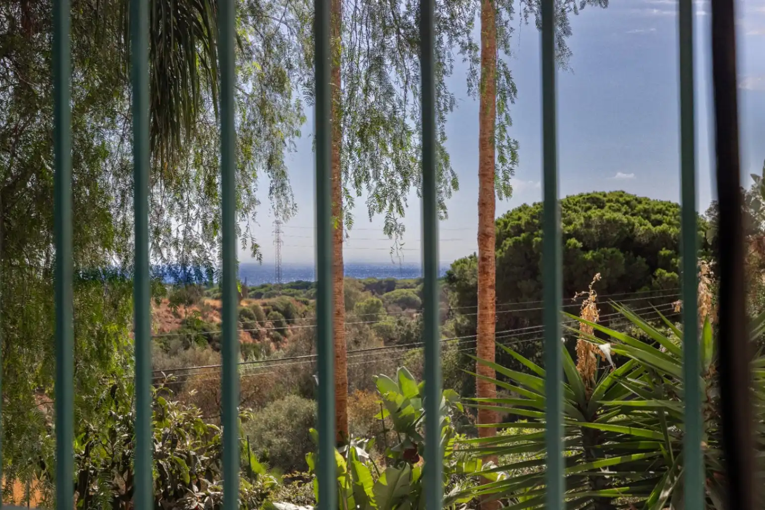 Jardí de Casa o xalet en venda en Marbella amb Aire condicionat, Calefacció i Jardí privat