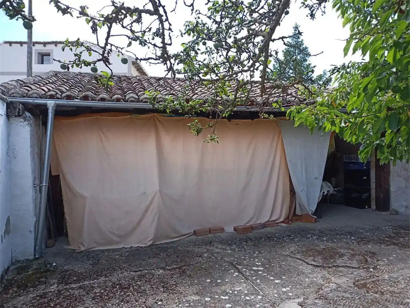 Vista exterior de Casa o chalet en venta en Calahorra de Boedo con Jardín privado, Trastero y Amueblado