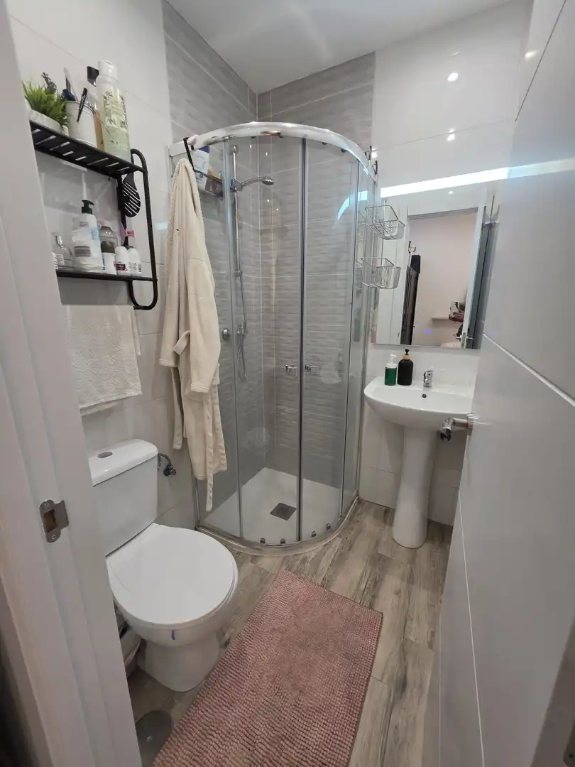 Baño de Apartamento de alquiler en Centro