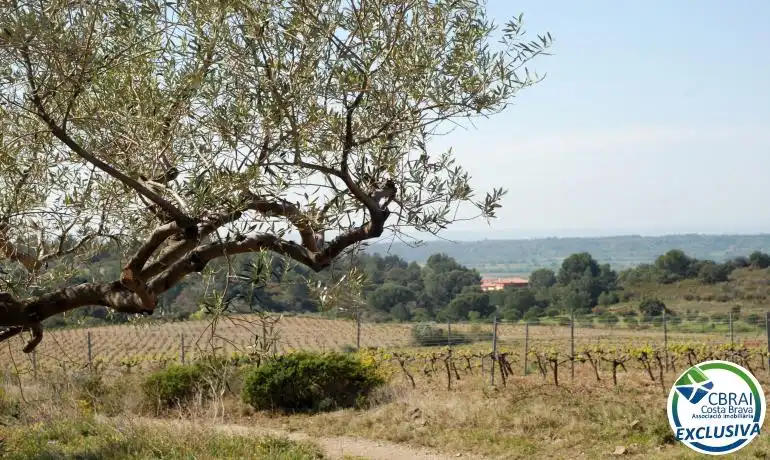 Terrenys i solars en venda a Garriguella, imagen 6