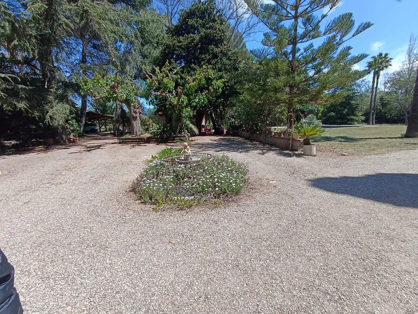 Rural land for sale in Carretera, imagen 43
