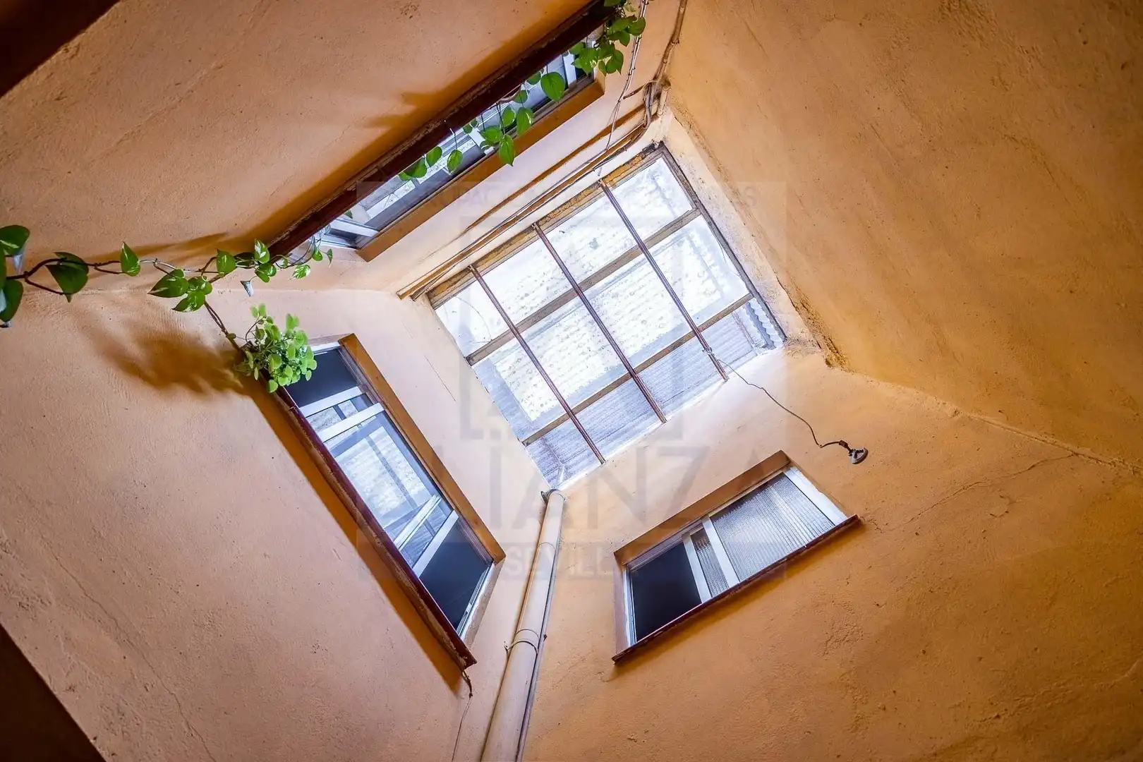 Maison mitoyenne avec terrasse à vendre à Calle CAÑO RONCO NORTE, imagen 10