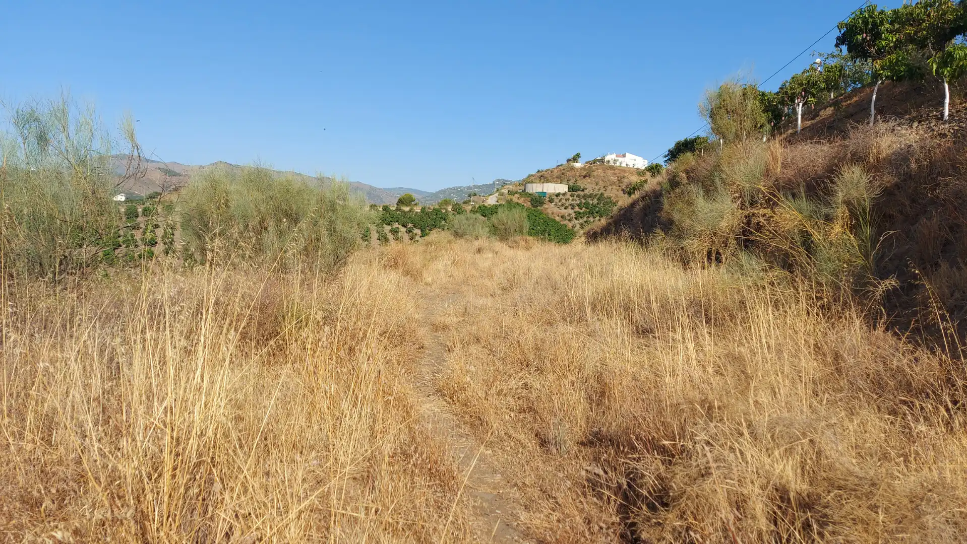 Terrain rustique à vendre à Vélez-Málaga ciudad, imagen 6