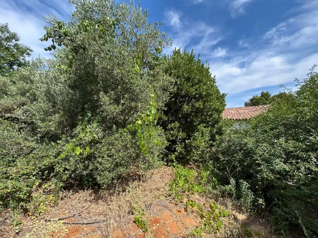 Casa o chalet en venta en Requena