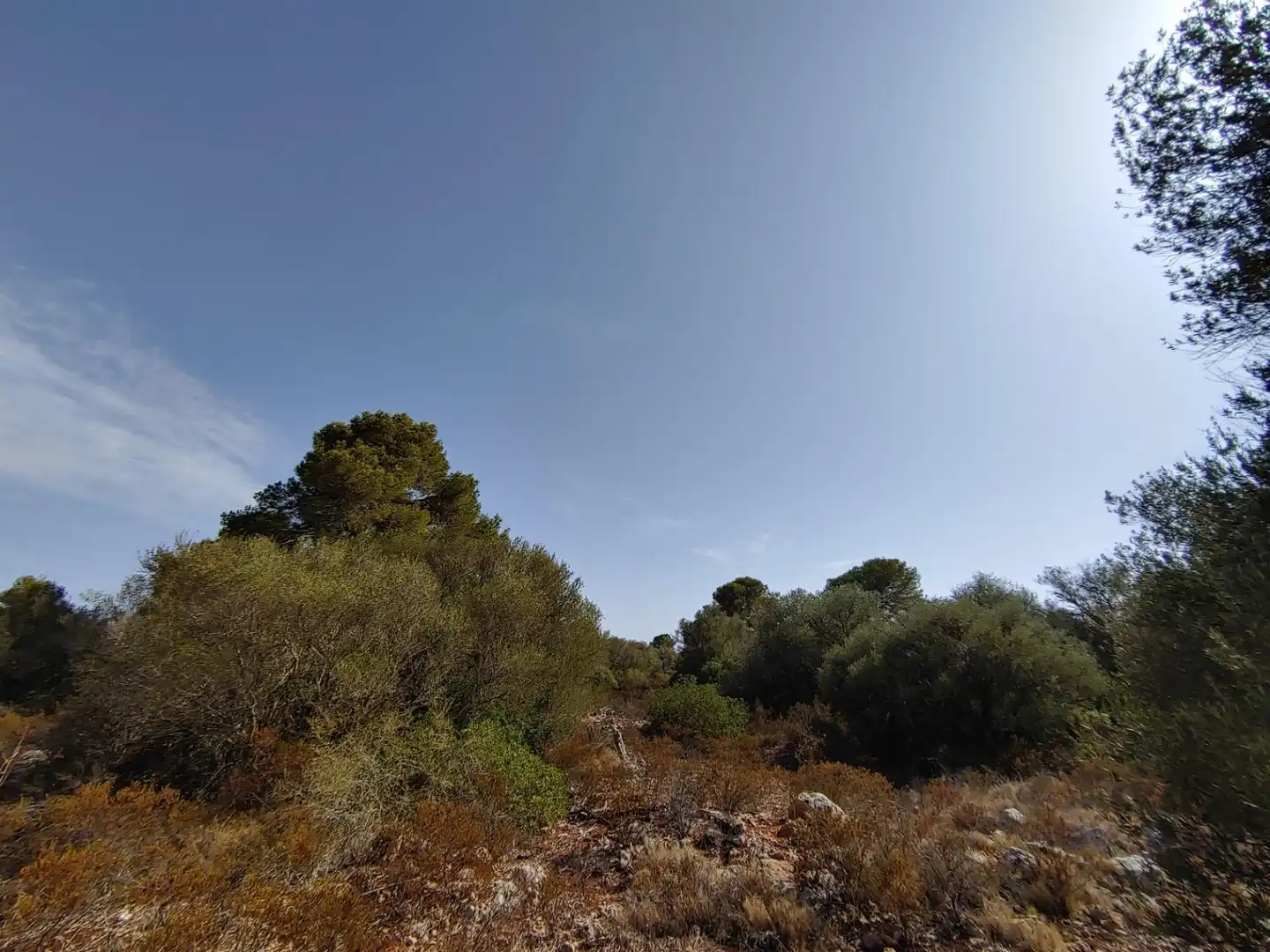Residencial en venta en Polígono Parcela 12, Cala Pi - Vallgornera