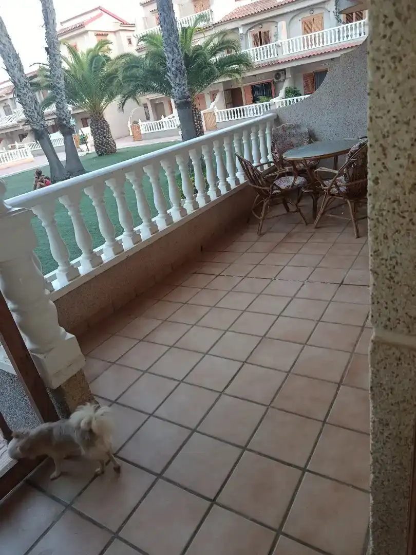 Terrassa de Planta baixa de lloguer en Pilar de la Horadada amb Moblat, Rentadora i Microones