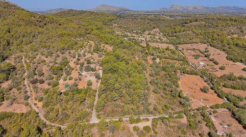 Photo 4 of Land for sale in Son Servera Poble, Son Servera