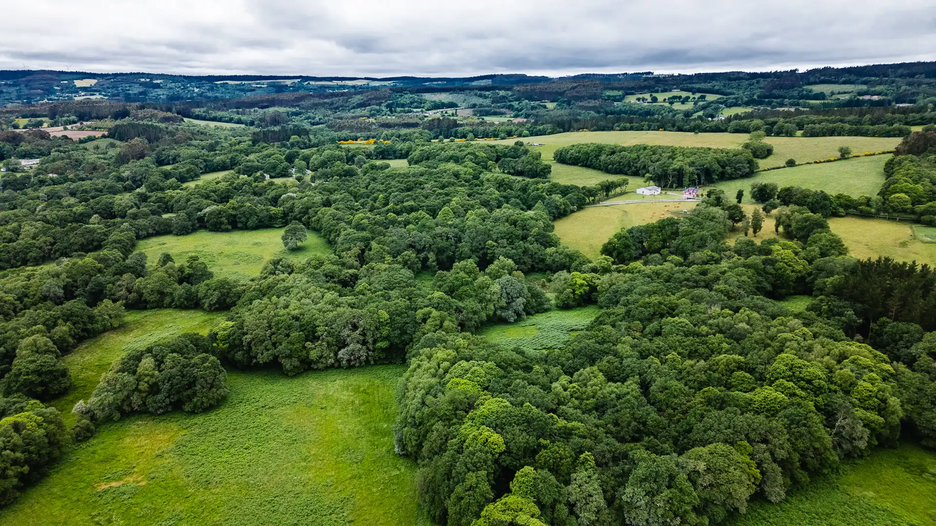 Finca rústica en venta en Friol