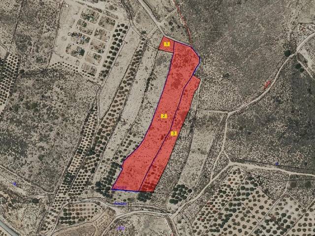 Terreno en Venta en Cañada del Fenollar