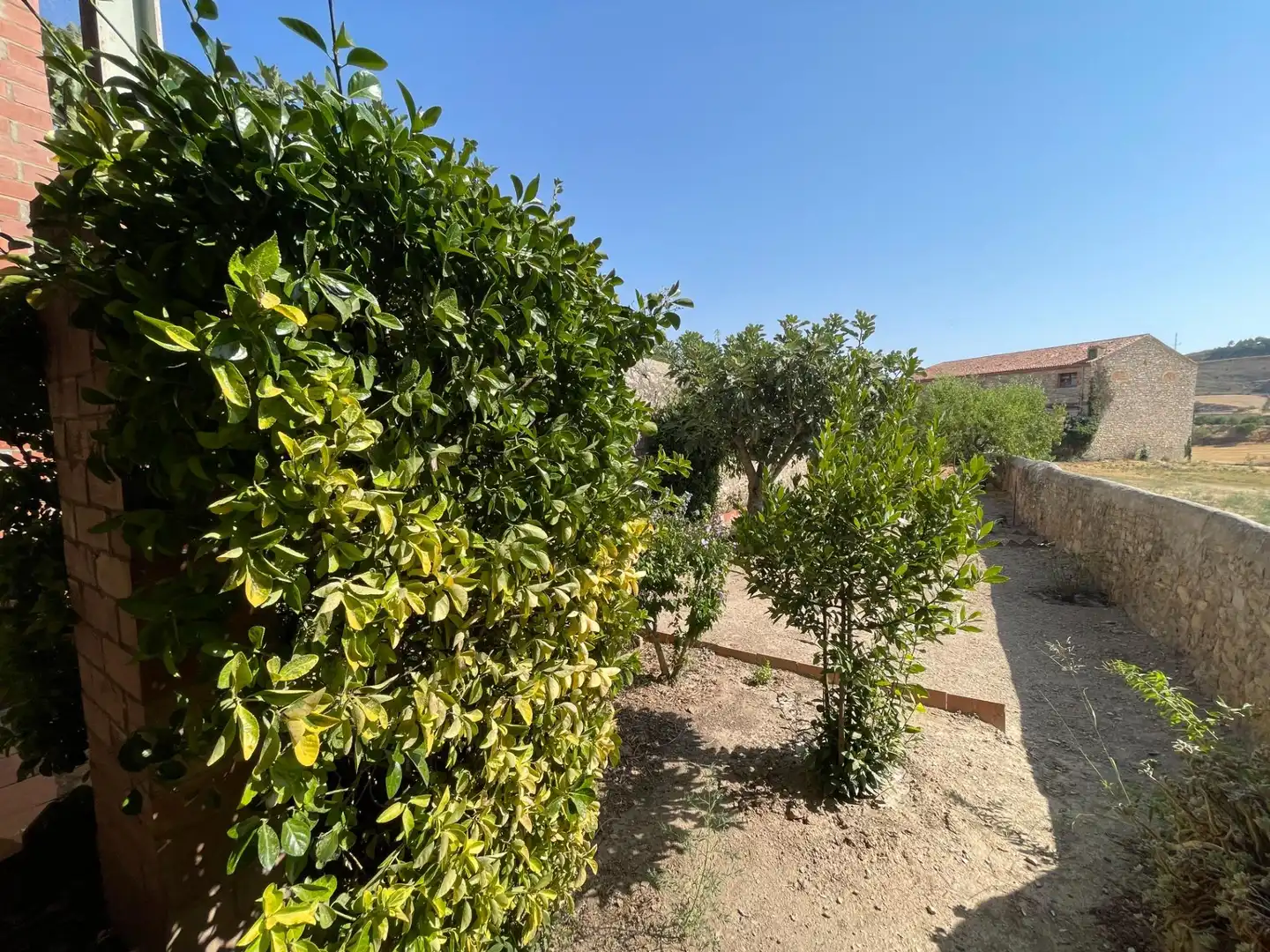 Jardín de Casa o chalet en venta en Calaf con Calefacción, Jardín privado y Parquet
