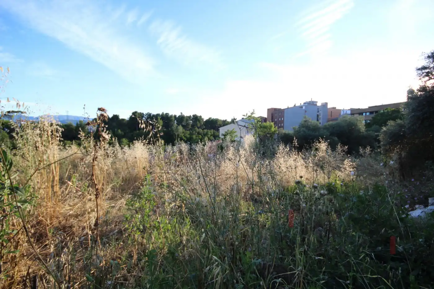 Wohnbaugrundstück zum Verkauf in Camino Fincas 9, imagen 11