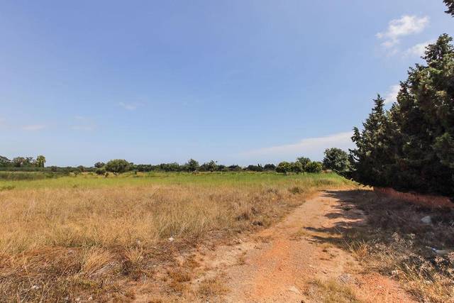 Terreno residencial en Venta en Polígono Pp G, 14 en Migjorn