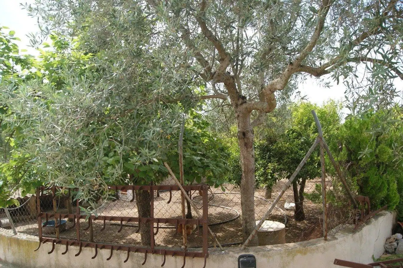 Jardín de Casa o chalet en venta en  Palma de Mallorca con Aire acondicionado, Calefacción y Terraza