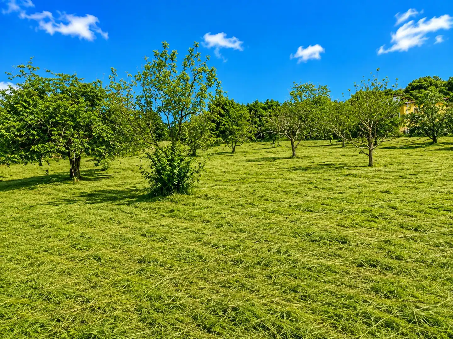 Residential land for sale in Grado, imagen 9