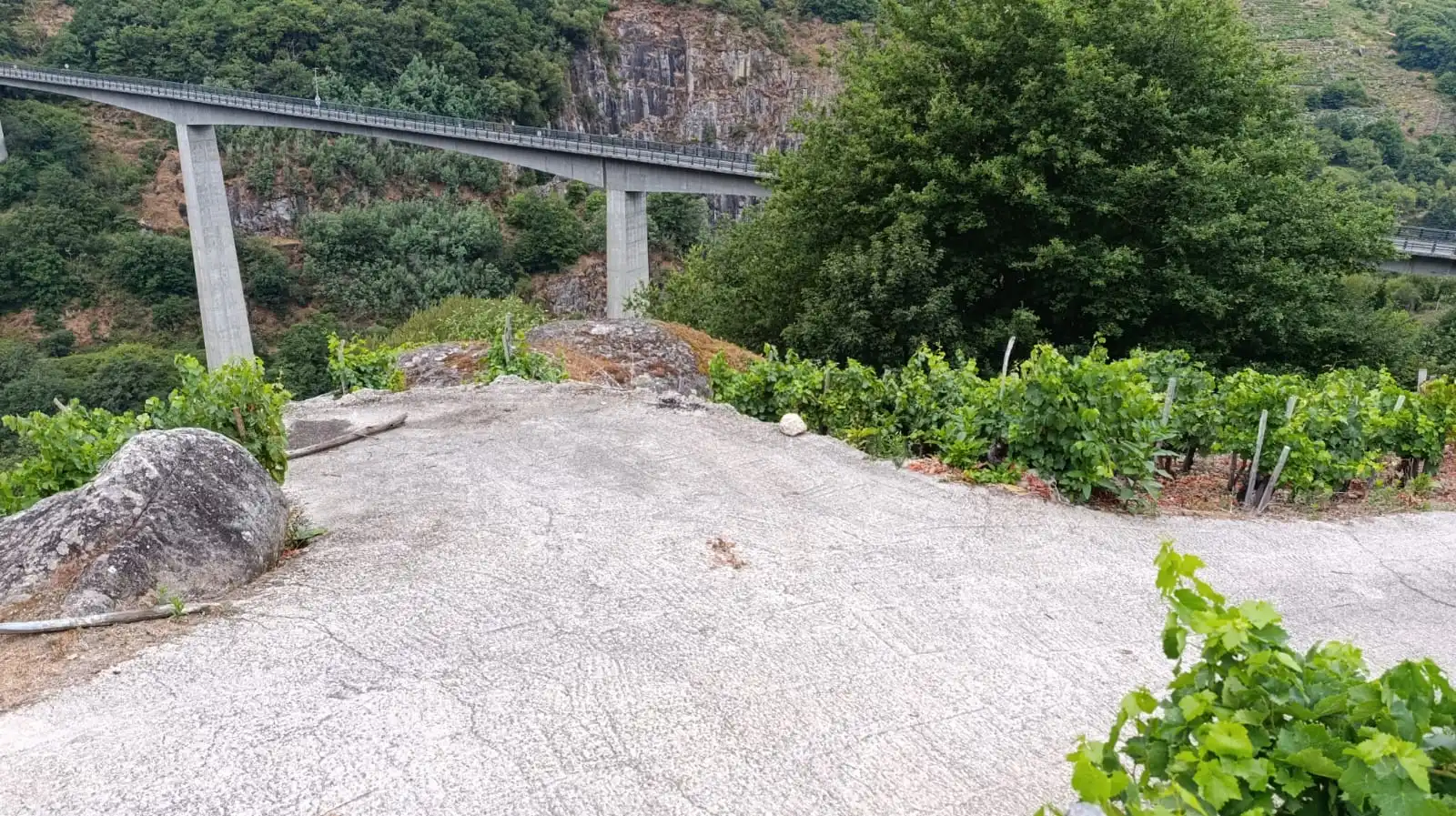 Bungalow con jardín en venta en O Saviñao, imagen 4