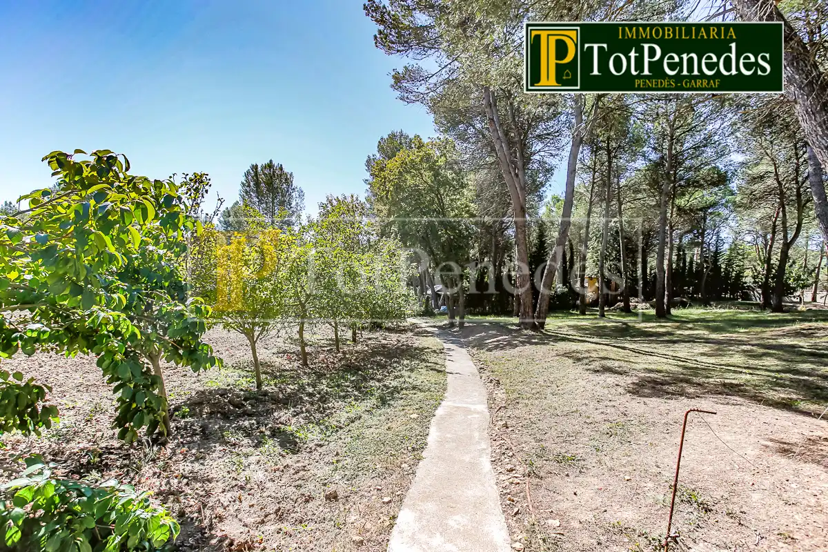 Terreno residenziale in vendita a Carrer David, imagen 8