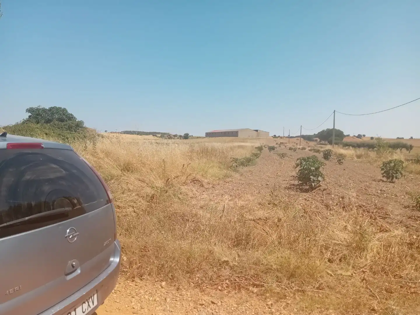 Terreno en venta en Moreruela de Tábara