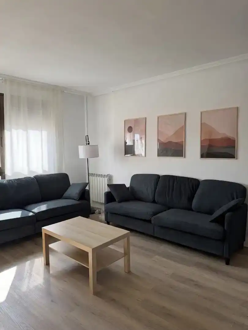 Sala de estar de Piso para compartir en Valladolid con Parquet, Amueblado y Balcón