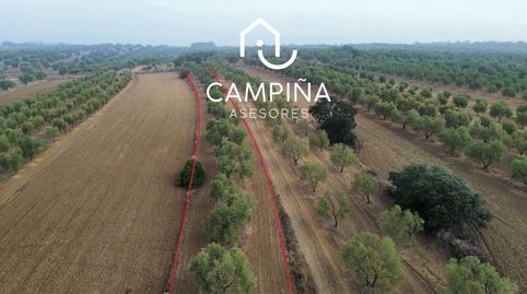 Foto 2 de Terreno en venta en Calle Cabezo de Los Prados, Beas, Huelva