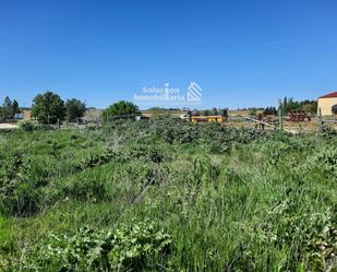 Land for sale in Cañizal