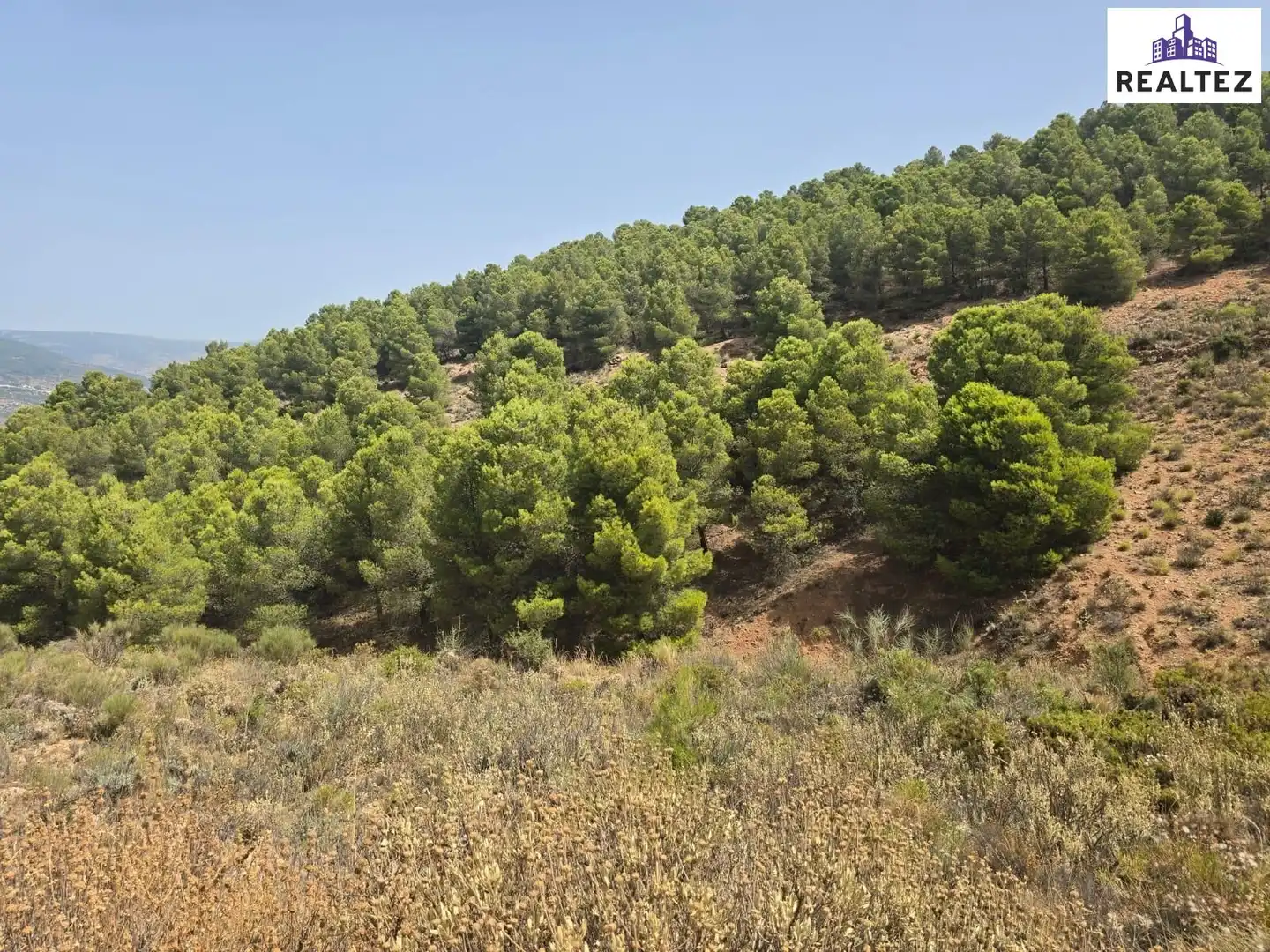 Terrain rustique à vendre à Alcolea, imagen 3