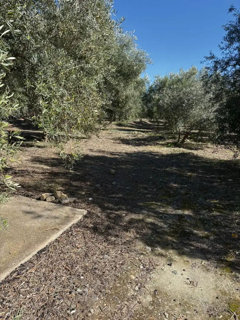 Finca rústica en venda en Canjáyar