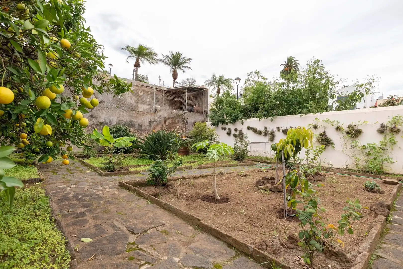 Terraced house for sale in Centro, imagen 27