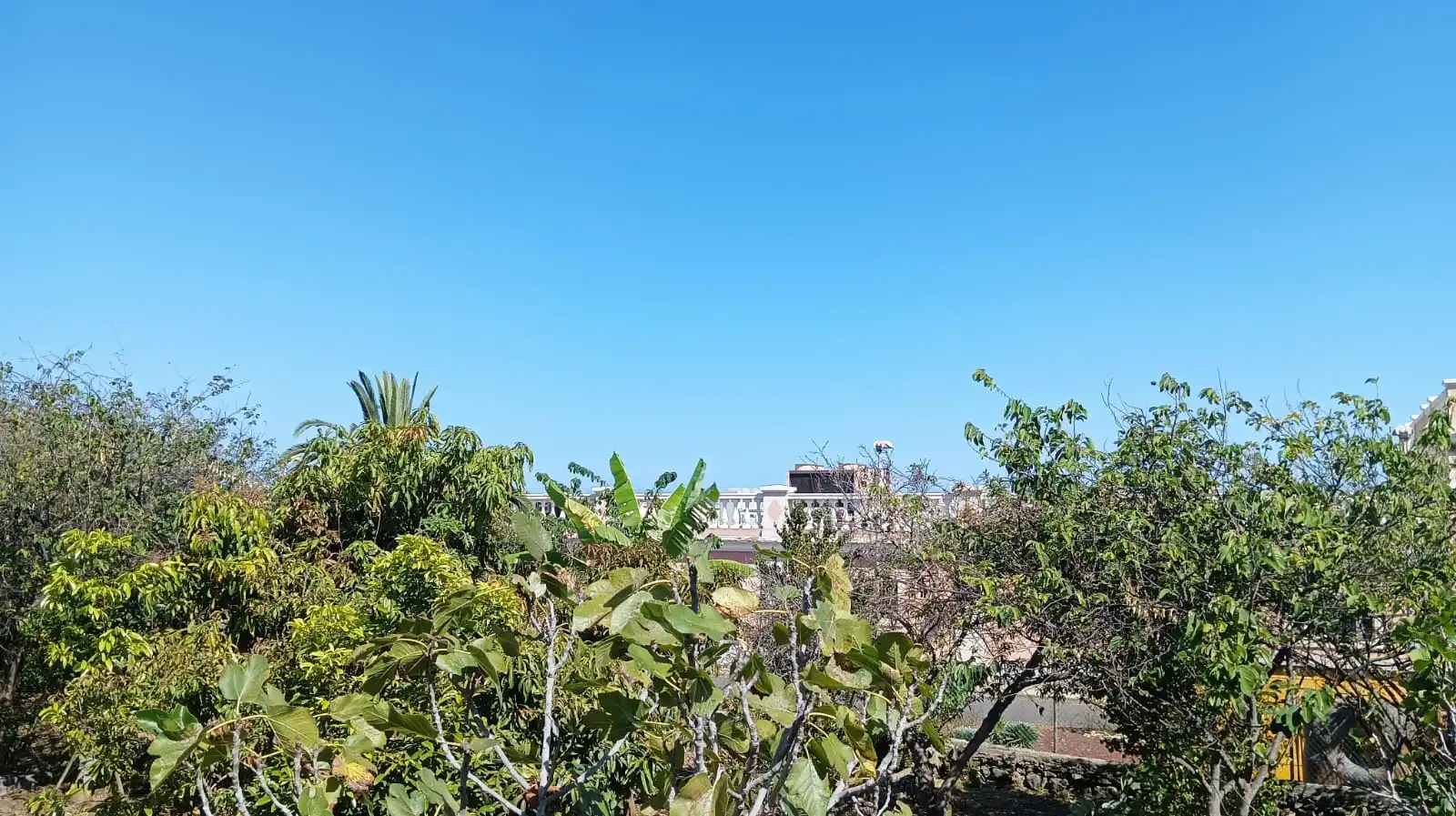 Rural land for sale in San Felipe - San Marcos - Las Cañas, imagen 21