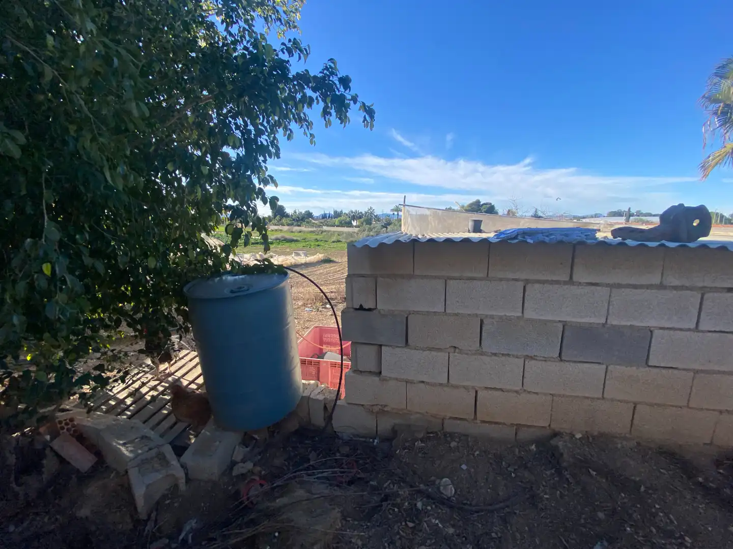 Finca rústica en venda en Torre-Pacheco amb Terrassa, Piscina i Moblat