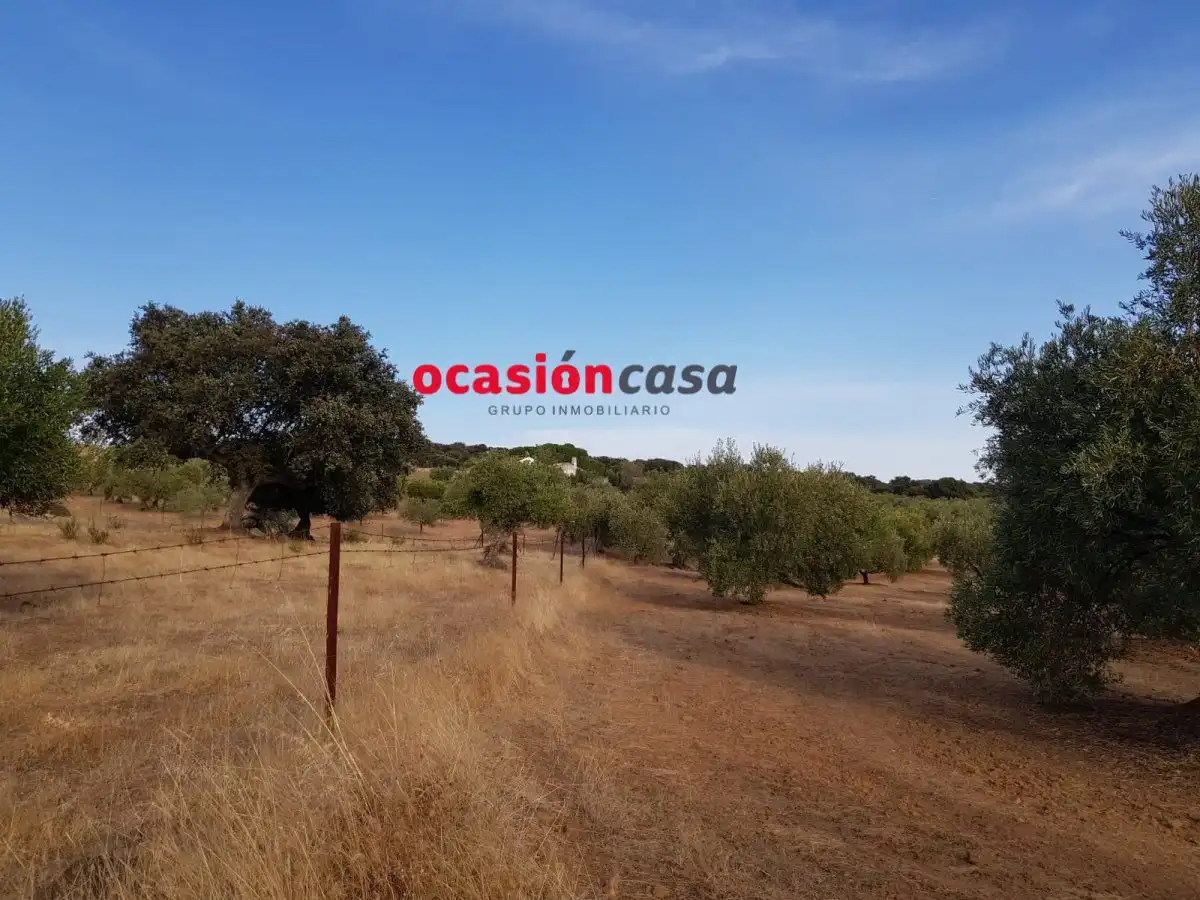 Finca rústica en venta en Espiel con Piscina y Amueblado