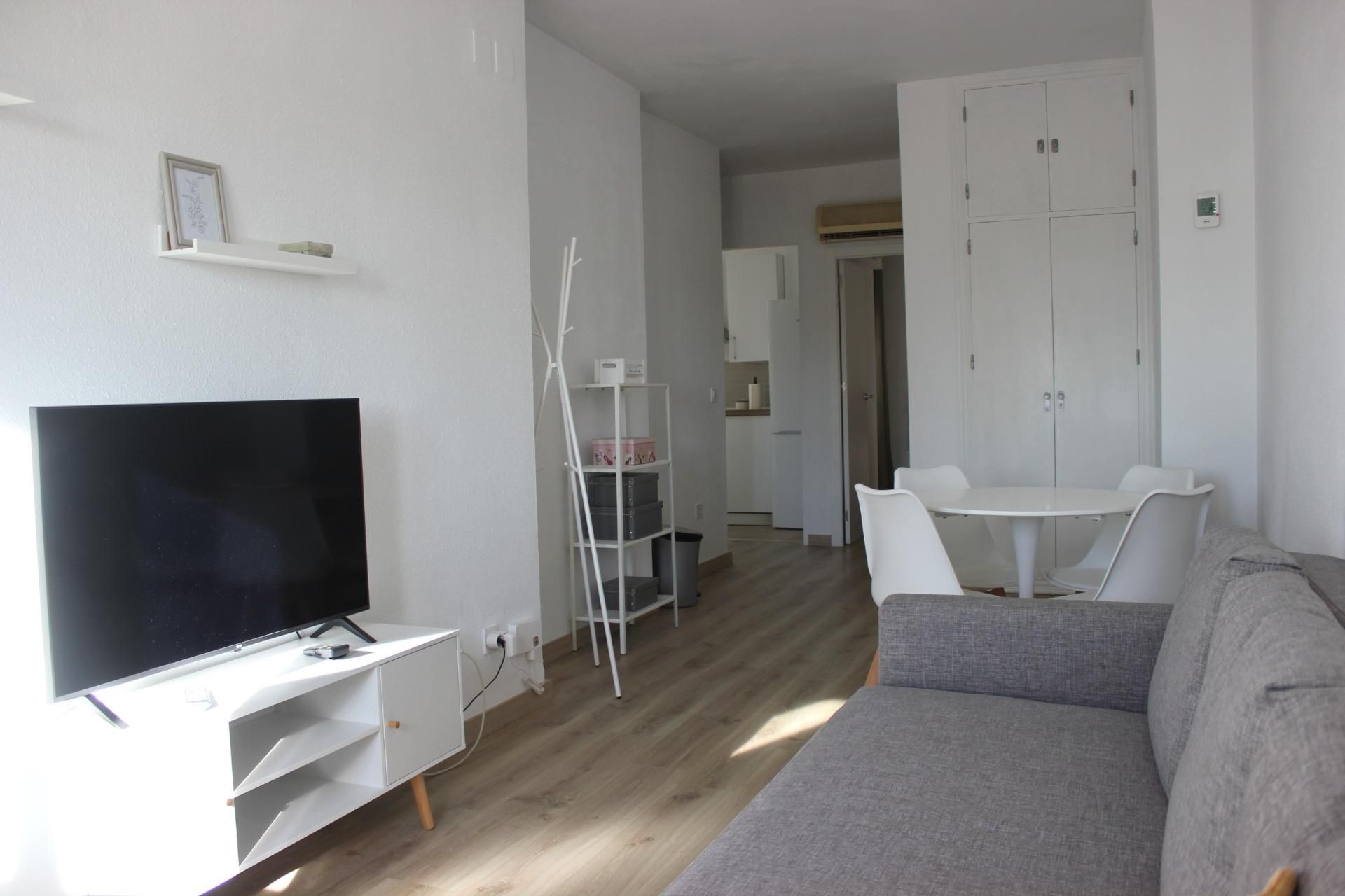 Living room of Flat to rent in  Sevilla Capital  with Air Conditioner and Balcony