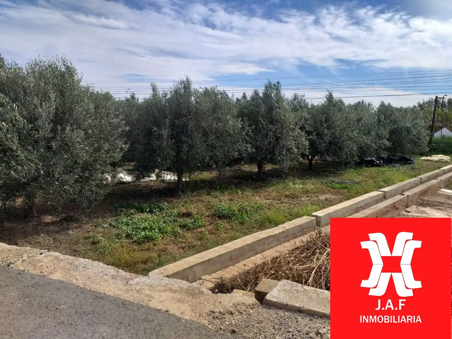 Terreno rústico en venta en Camino Camino Polsana, imagen 4