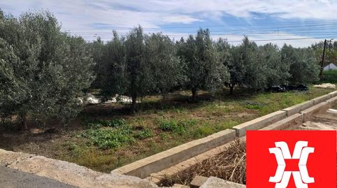 Foto 4 de Terreno en venta en Camino Camino Polsana, Moncada, Valencia